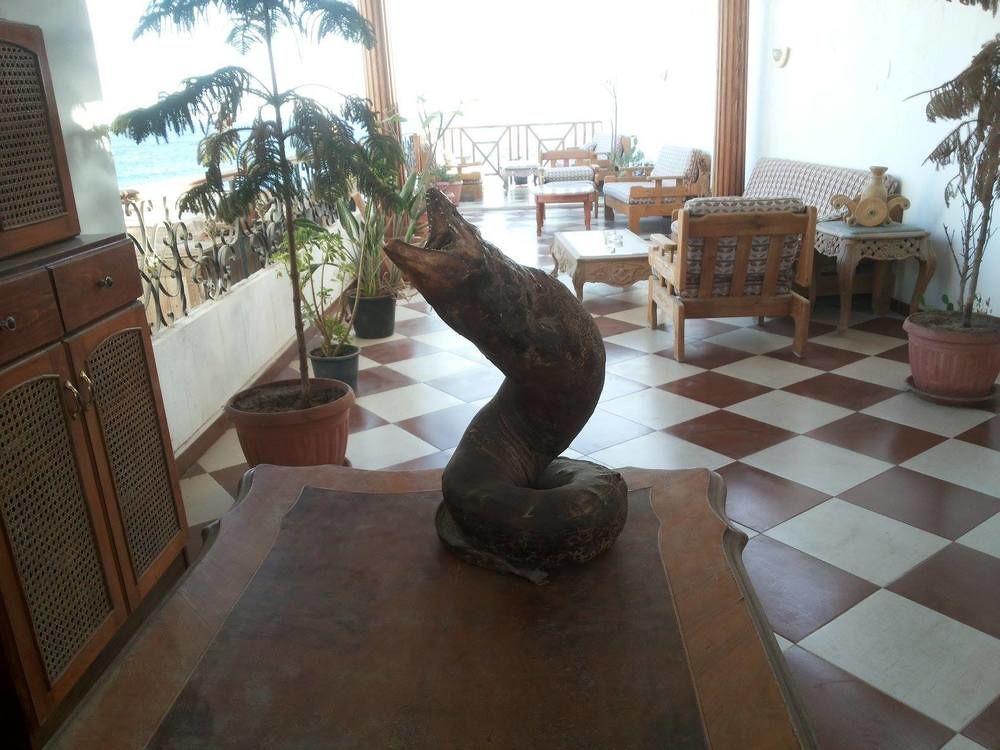 Sea Soul Hotel Дахаб Екстериор снимка